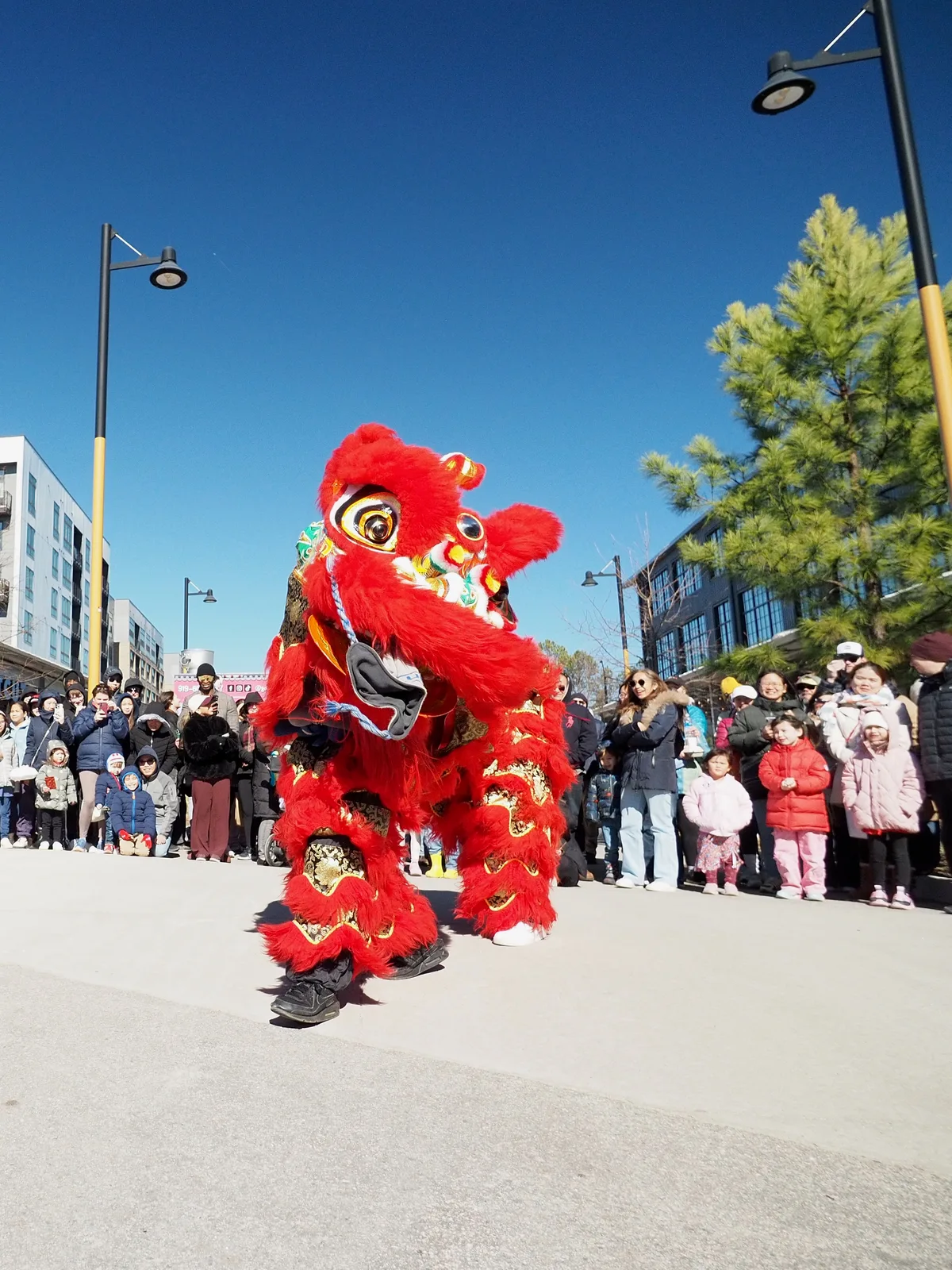 Lunar New Year photograph 20